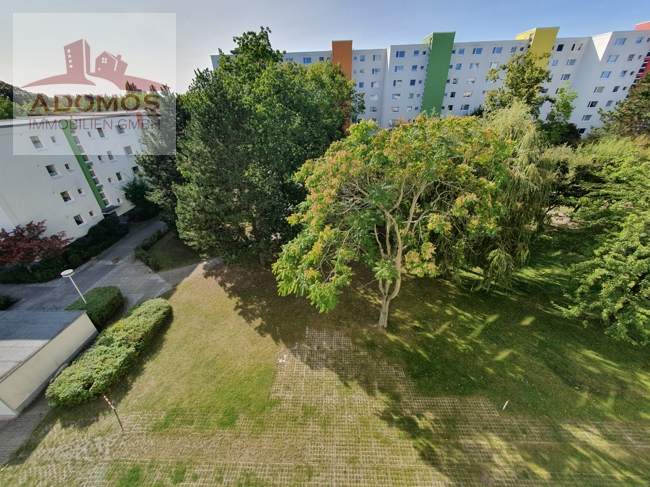 gepflegte-helle-und-gut-geschnittene-wohnung-in-berlin-lichtenrade