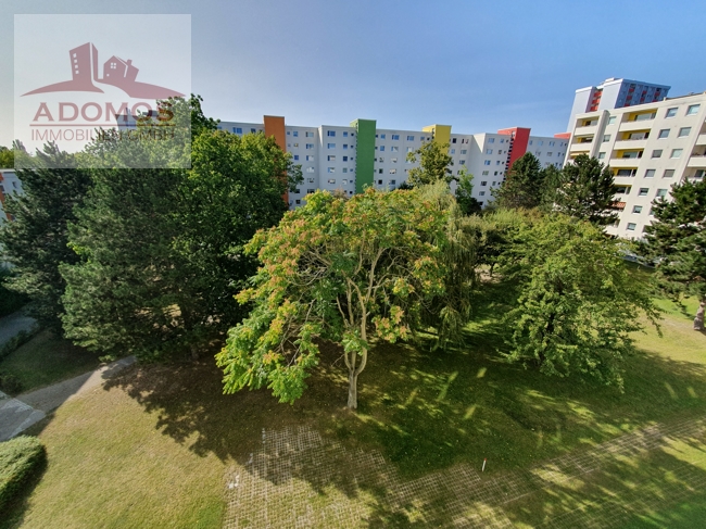interessante-kapitalanlage-in-berlin-lichtenrade-unweit-vom-ber